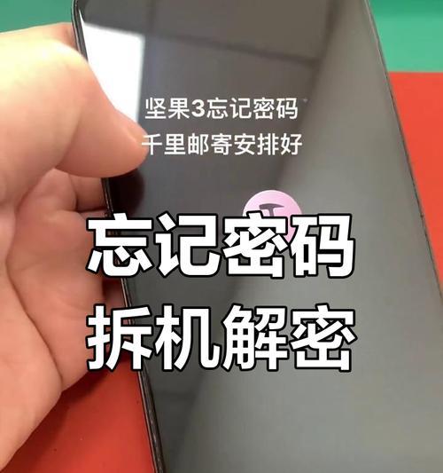 锤子坚果手机（解读坚果手机的创新之处及用户评价）-第1张图片-数科之翼