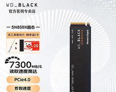 揭秘以西部数据黑盘（黑客行业的祸害与对策）-第3张图片-数科之翼