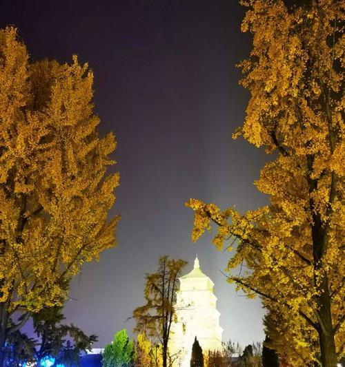 大唐手机（探索智能世界，畅享尖端科技）-第3张图片-数科之翼
