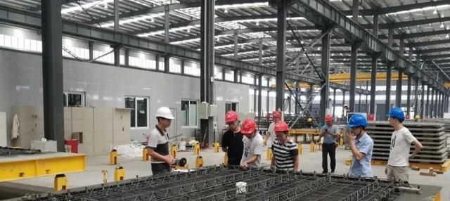 中电熊猫（关键能源转型）-第2张图片-数科之翼