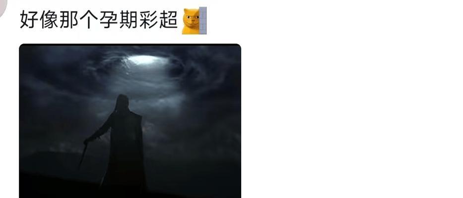 探索宝藏世界——珍岛发布宝的惊喜与魅力（发掘奇珍异宝，体验非凡之旅）-第3张图片-数科之翼