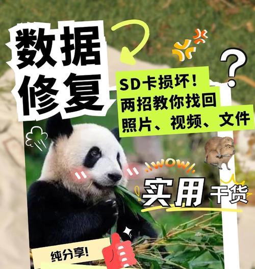 SD卡坏了怎么恢复数据（技巧教你轻松恢复丢失的数据）-第3张图片-数科之翼