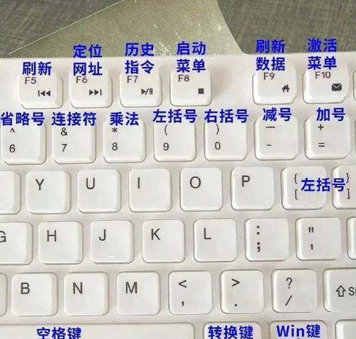 电脑初学者入门教程（让你快速掌握电脑技能的实用指南）-第1张图片-数科之翼