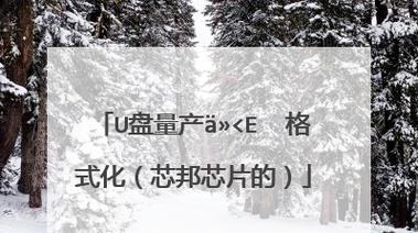 芯邦2093量产工具教程（一步步学习芯邦2093量产工具，成为芯片量产专家）-第1张图片-数科之翼