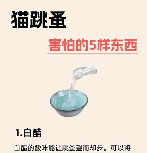 以去跳蚤最简单的土方法（自制土方）-第3张图片-数科之翼