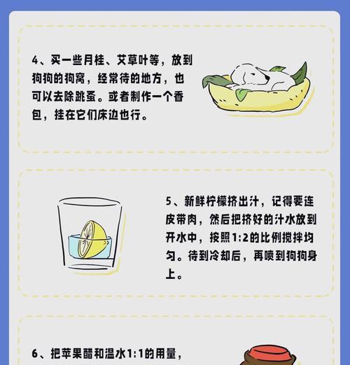 以去跳蚤最简单的土方法（自制土方）-第2张图片-数科之翼