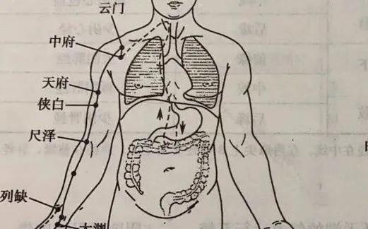 探索人类身体的奥秘（解密人体结构与功能，揭开健康秘密）-第3张图片-数科之翼