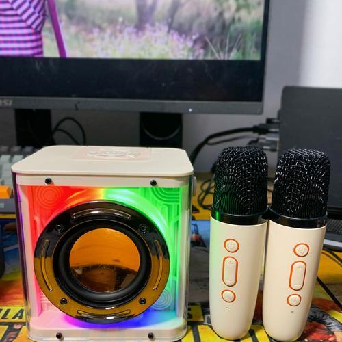 国产低音炮的品质和性能如何？（探索国产低音炮的优势与劣势）-第3张图片-数科之翼