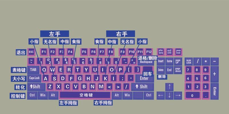 电脑键盘操作教程（从零起步，快速掌握电脑键盘操作的窍门）-第1张图片-数科之翼
