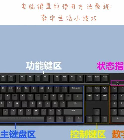 电脑键盘操作教程（从零起步，快速掌握电脑键盘操作的窍门）-第3张图片-数科之翼