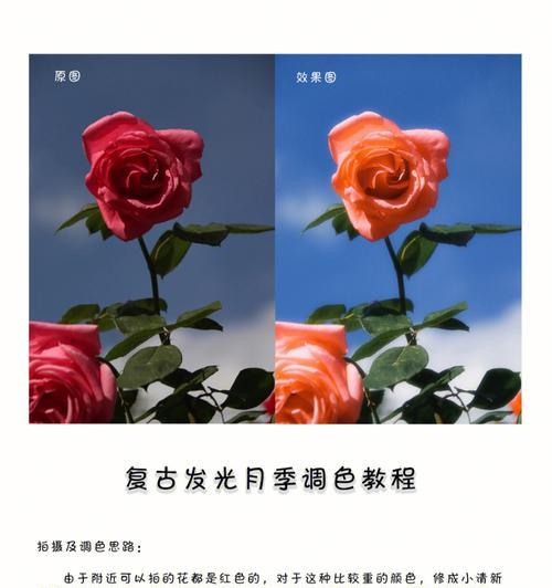 秋天调色教程（利用电脑LR软件调整照片色调，让秋天色彩更饱满）-第3张图片-数科之翼