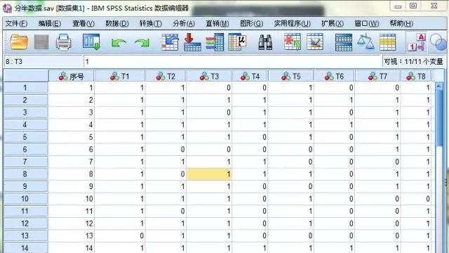 解决苹果电脑上SPSS授权错误的有效方法（遇到SPSS授权错误？别担心，这里有解决方案！）-第3张图片-数科之翼