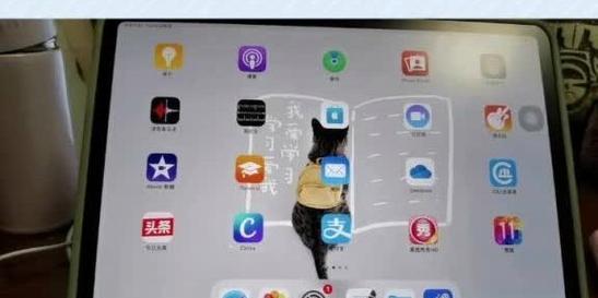 使用iPad录屏教程（简单易学，让你的创意无限延伸）-第3张图片-数科之翼