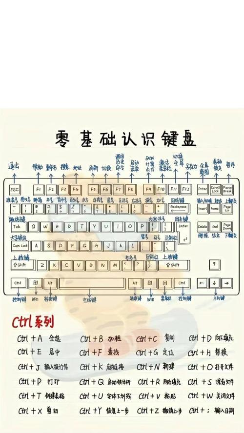 电脑键盘拆卸教程（掌握拆卸技巧，维护键盘长寿命）-第1张图片-数科之翼