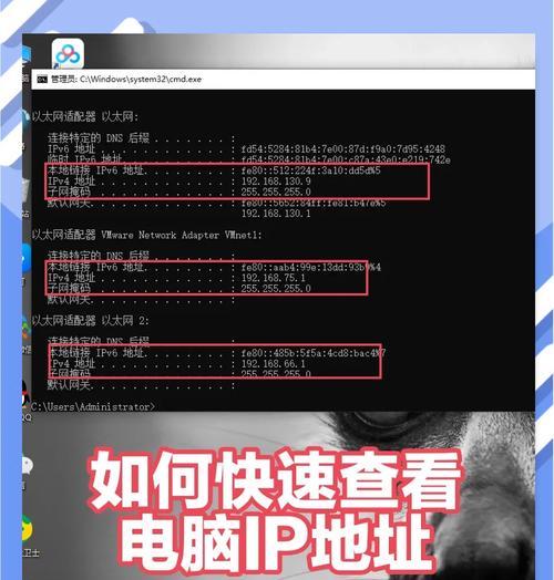 探究IP地址访问网络电脑密码错误的原因与解决方法（解析密码错误导致的IP地址访问问题及应对策略）-第1张图片-数科之翼