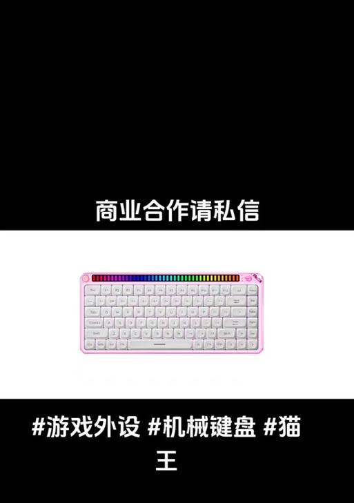 业余电脑键盘使用教程（掌握键盘快捷操作，成为高效码字达人！）-第1张图片-数科之翼