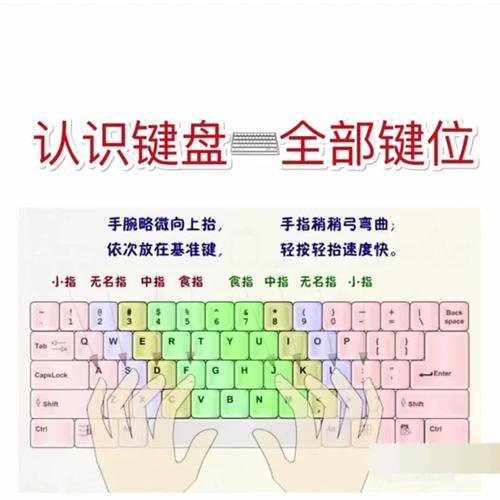 新手文员基本电脑教程（从零开始学习办公电脑使用技巧）-第2张图片-数科之翼
