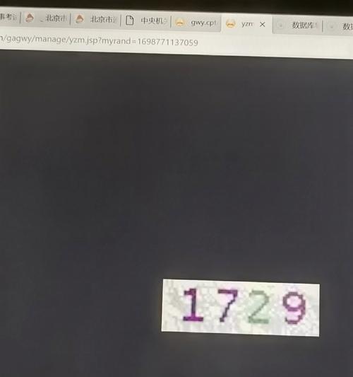 解决电脑验证码错误的方法（提高网络安全，保护个人信息）-第1张图片-数科之翼