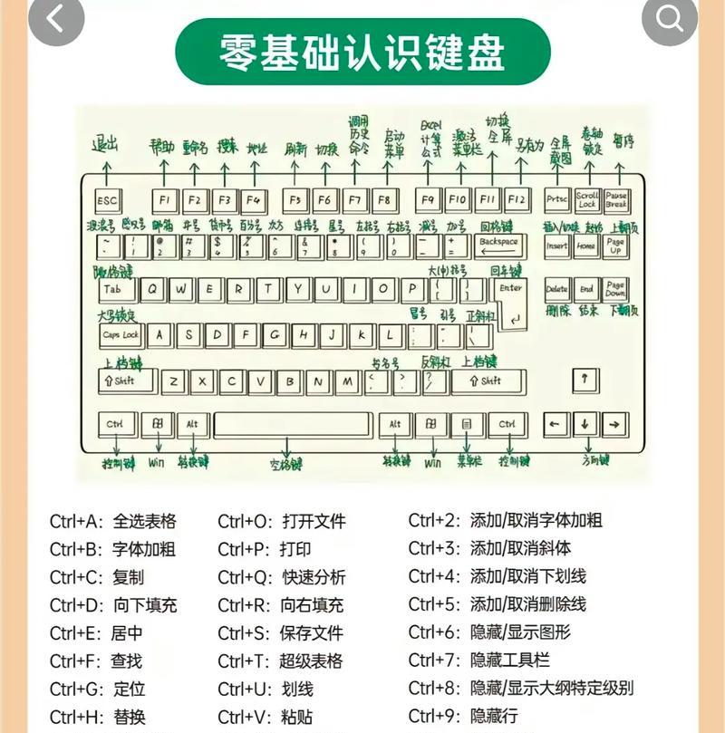 新电脑操作教程（从购买到上手，让你成为电脑操作高手）-第1张图片-数科之翼
