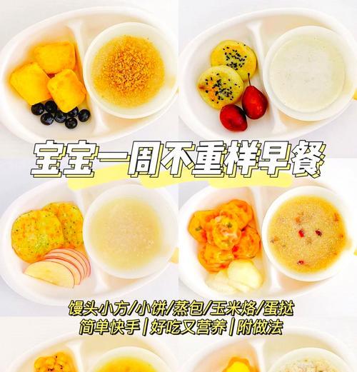 电脑教程美食菜谱简单（利用电脑学习美食菜谱，轻松上手烹饪）-第3张图片-数科之翼