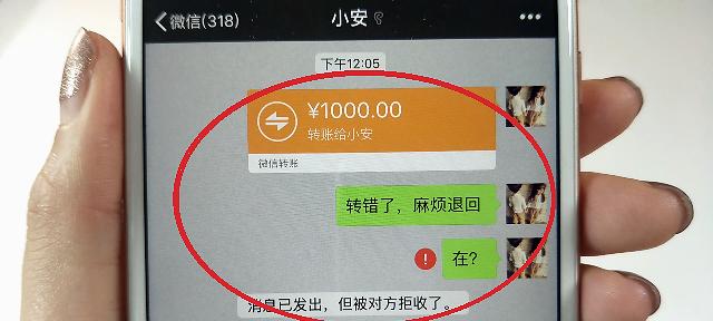 电脑转账错误如何删除？（有效解决电脑转账错误的方法和注意事项）-第2张图片-数科之翼
