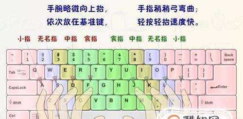 掌握电脑键盘打字技巧，提高打字效率（电脑键盘打字教程，让你成为高效打字者）-第2张图片-数科之翼