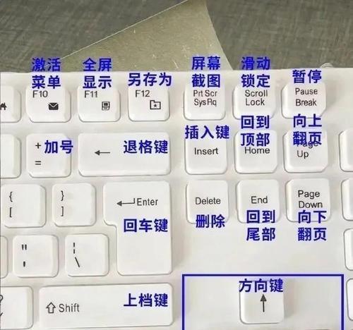 掌握电脑键盘打字技巧，提高打字效率（电脑键盘打字教程，让你成为高效打字者）-第3张图片-数科之翼