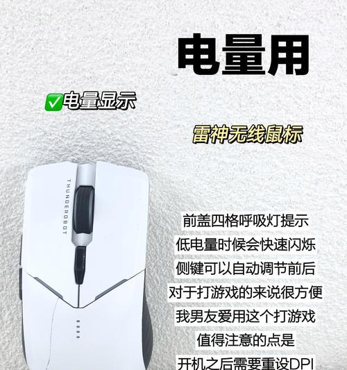 电脑鼠标使用指南（从入门到精通，掌握鼠标技巧的关键）-第3张图片-数科之翼
