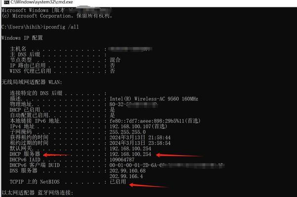 电脑无线IP地址错误的解决办法（排查和修复电脑无线IP地址错误问题的有效方法）-第2张图片-数科之翼