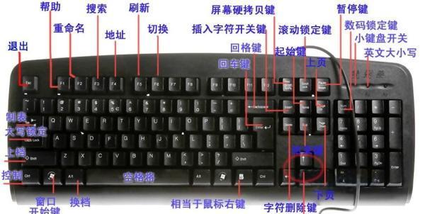 DIY电脑屏幕改装教程（快速学会键盘修理和改装电脑屏幕，让你的电脑焕然一新）-第2张图片-数科之翼
