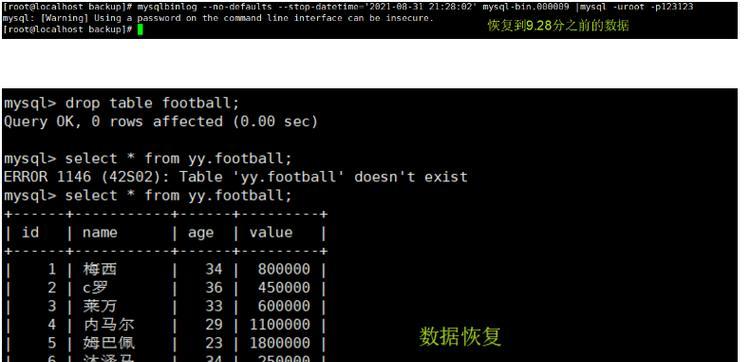 揭示电脑文件管理分类逻辑错误（深入探讨常见的文件管理错误及其解决方法）-第3张图片-数科之翼
