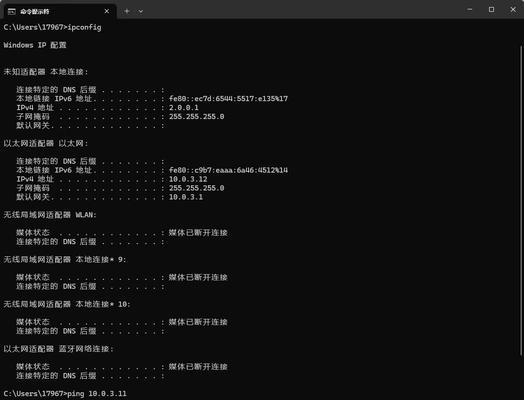 电脑无线显示IP地址配置错误的解决方法（解决电脑无线显示IP地址配置错误的实用技巧）-第1张图片-数科之翼