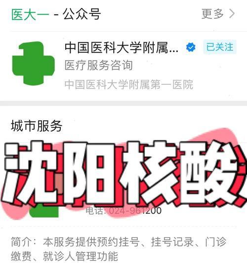 电脑核酸检测扫码教程（掌握电脑核酸检测扫码技术，保护生命安全）-第3张图片-数科之翼