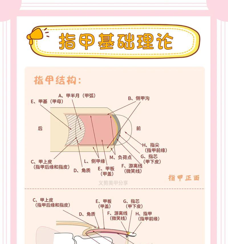 从零开始学习美甲电脑基础操作（轻松掌握美甲电脑基础操作的技巧与窍门）-第2张图片-数科之翼