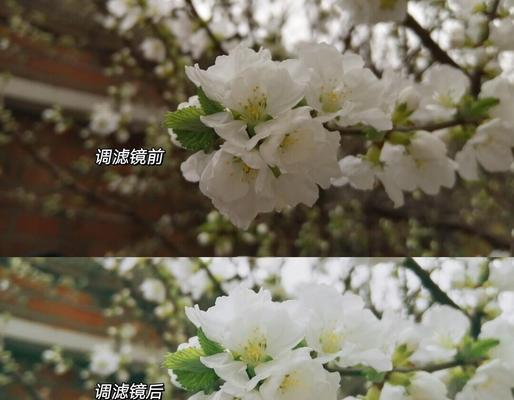 如何使用复古滤镜为电脑照片调色（借助复古滤镜，轻松为电脑照片增添怀旧风格）-第1张图片-数科之翼